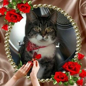 Meet your Posher, France